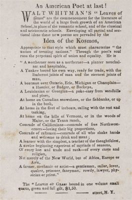 what are some of the characteristics of walt whitman's poetry? how does his poetic style reflect american democracy?